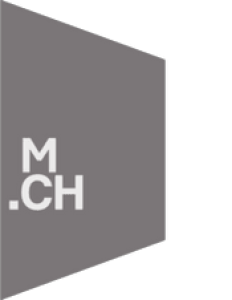 mch logo.png (0 MB)